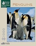 Penguins 1000 Piece Jigsaw Puzzle