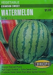 Watermelon Crimson Sweet Seeds 40 Seeds
