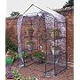 Walk In Green House (GHWI)