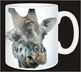 Review Advanta  / CUTE GIRAFFES FACE Coffee Mug
