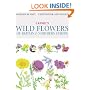 Cassell's Wild Flowers of Britain and Northern Europe