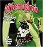 Metamorphosis: Changing Bodies
