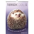 Tierisch cool! 2012. Kalender 23,7 x 34 cm mit Ringbindung