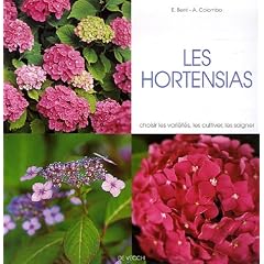 Les hortensias