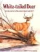 White-Tailed Deer: Ecology and Management