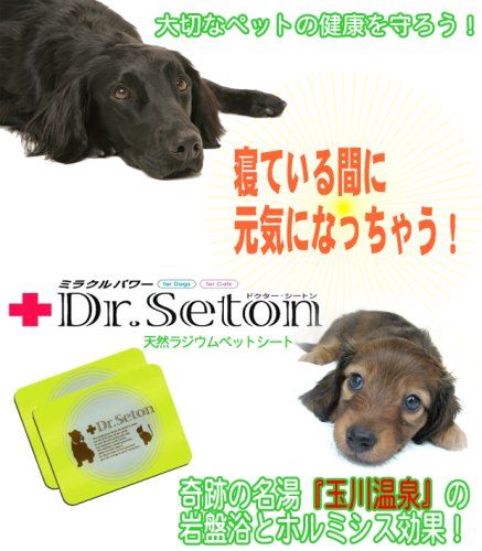 【ドクターシートン２枚組】