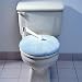 Toilet Lock