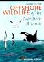 Guide to the Offshore Wildlife of the Northern Atlantic (Corrie Herring Hooks)
