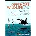 Guide to the Offshore Wildlife of the Northern Atlantic (Corrie Herring Hooks)