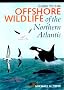 Guide to the Offshore Wildlife of the Northern Atlantic (Corrie Herring Hooks Series)