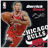 Chicago Bulls Derrick Rose Basketball - Lunch Napkins