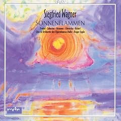 Wagner, S - Sonnenflammen