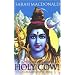 Holy Cow! an Indian Adventure
