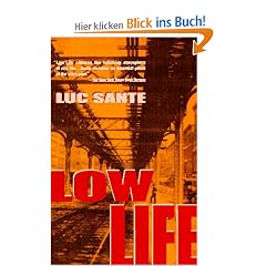 Low Life: Lures and Snares of Old New York (Vintage Departures)