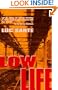 Low Life: Lures and Snares of Old New York