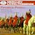 Fennell: Suites 1 & 2 / Folk Song Suite / Toccata Marziale