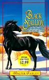The Black Stallion