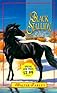 The Black Stallion