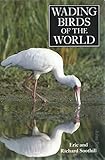 Wading birds of the world