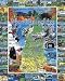 White Mountain Puzzles Best of New Hampshire 1000 Piece Jigsaw Puzzle