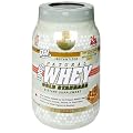 Optimum Nutrition Gold Standard 100% Instantized Natural Whey Protein Powder, Chocolate, 2.07-Pound Plastic Jars