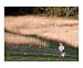 Big world Seasons Photographic Poster Print by Richard K Canty, 24x20