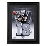 Upper Deck NFL Jersey Numbers Collection Oakland Raiders - Randy Moss