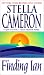 Books : Finding Ian (Zebra Contemporary Romance)