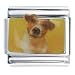 terrier7 - Jack Russel Terrier Gift Italian Charm