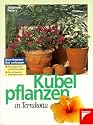 K&uuml;belpflanzen in Terrakotta