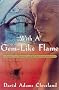With a GEM-Like Flame: A Novel of Venice and a Lost Masterpiece