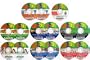 The Ultimate Insiders Guide for Buying & Selling on eBay 15CDs 2010 Edition