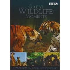 Great Wildlife Moments Introduced by David Attenborough [DVD]