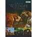 Great Wildlife Moments Introduced by David Attenborough [DVD]