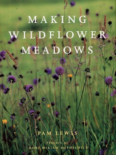 Making a Wildflower Meadow