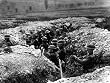 the first world war