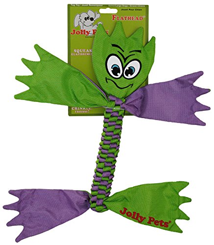 Jolly Pets Flathead Tug/Squeak Toy X-Large