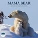 Mama Bear 2010 Polar Bear Calendar