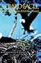 The Bald Eagle: Haunts and Habits of a Wilderness Monarch