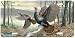 Spring Wings - Turkey Wildlife Art Print - License Plate by Randy McGovern from Airst...