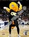 Georgia Tech Yellowjacket , 8x10