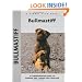 Bullmastiff (Comprehensive Owners Guide)