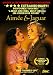 DVD : Aimee and Jaguar