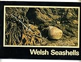 Welsh seashells