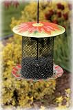 Bird Brain NinArt Glass & Mesh Bird Feeder Daisy