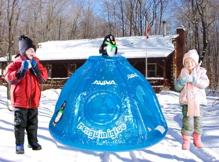 35065 Penguin Igloo