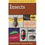 a field guide to insects america north of mexico peterson field guidesr