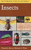  : A Field Guide to Insects