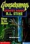 Ghost in the Mirror (Goosebumps Series 2000, No 25)