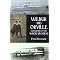 Wright Brothers: Aviation Pioneers